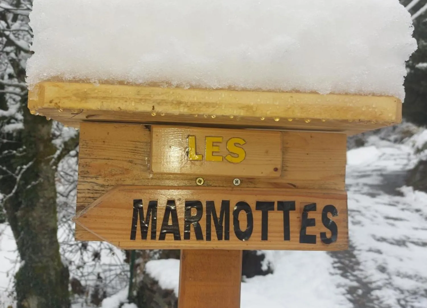 Appartement Les Marmottes à Les Etalons